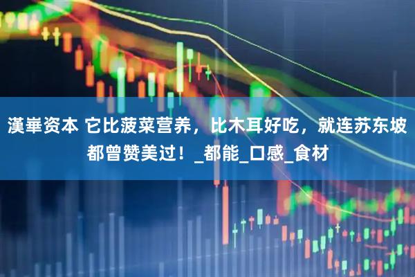 漢崋资本 它比菠菜营养，比木耳好吃，就连苏东坡都曾赞美过！_都能_口感_食材