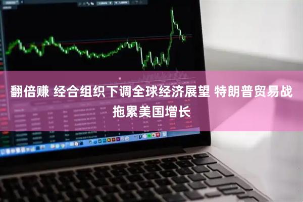 翻倍赚 经合组织下调全球经济展望 特朗普贸易战拖累美国增长