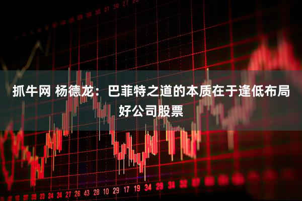 抓牛网 杨德龙：巴菲特之道的本质在于逢低布局好公司股票