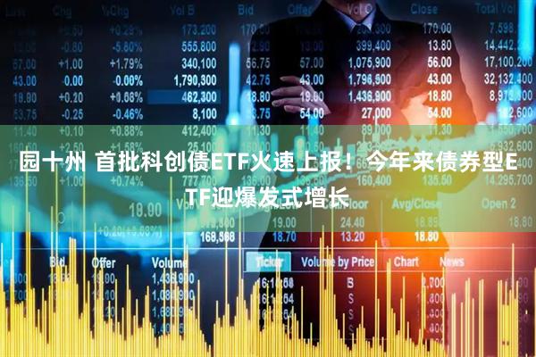 园十州 首批科创债ETF火速上报！今年来债券型ETF迎爆发式增长