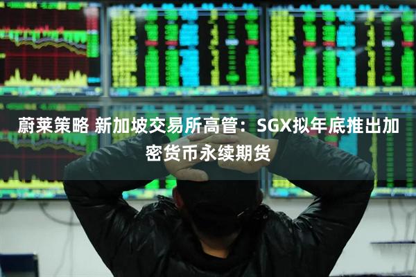 蔚莱策略 新加坡交易所高管：SGX拟年底推出加密货币永续期货