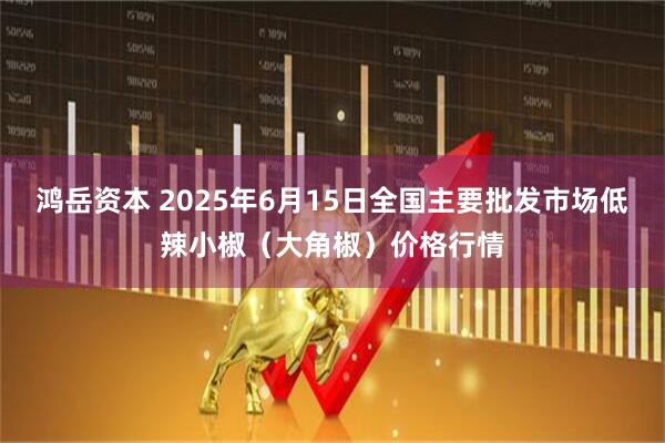 鸿岳资本 2025年6月15日全国主要批发市场低辣小椒（大角椒）价格行情