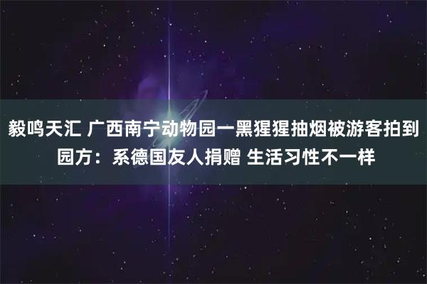 毅鸣天汇 广西南宁动物园一黑猩猩抽烟被游客拍到 园方：系德国友人捐赠 生活习性不一样