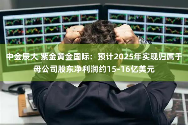 中金辰大 紫金黄金国际：预计2025年实现归属于母公司股东净利润约15-16亿美元