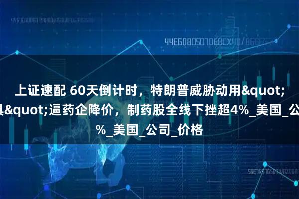 上证速配 60天倒计时,特朗普威胁动用"一切工具"逼药企降价,制药股全线下挫超4%_美国_公司_价格
